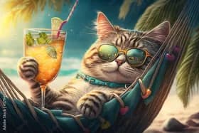 特朗普宣布12月26日为假日:哪些部门关闭?