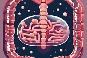 рдЖрдВрдд рдХреЗ рдмреИрдХреНрдЯреАрд░рд┐рдпрд╛: рдХреНрдпрд╛ рдпреЗ рдорд╛рдирд╡реАрдп рдмреБрджреНрдзрд┐рдорддреНрддрд╛ рдХреА рдХреБрдВрдЬреА рд╣реИрдВ? рдирдпрд╛ рд╢реЛрдз