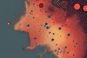 Australia Bushfires: AI Spots Patterns in Destruction & Risk