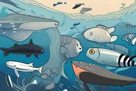 海洋ブラックアウト:隠れた暗波が海洋生物を脅かす