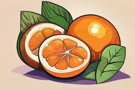 羅漢果:古代からの甘味、現代の健康増進