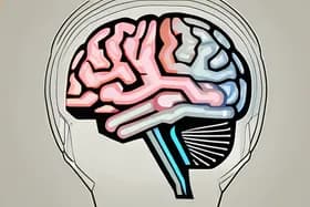 脳科学研究:加齢に伴い記憶喪失が加速する仕組み