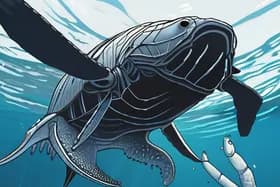 海洋停电:人工智能揭示对海洋生物的隐藏威胁