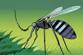 森林砍伐迫使蚊子叮咬人类