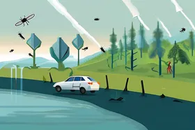 إزالة الغابات تدفع البعوض إلى لدغ البشر