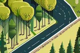 Soil Hack Doubles Forest Regrowth!