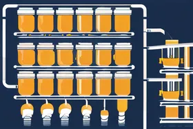 Correction: Oestradiol's Ferroptosis, Kidney Injury Role Clarified