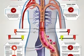 更正:自然杂志澄清雌二醇在肾损伤中的作用
