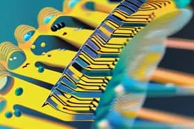 《自然》杂志更正多胺剪接研究;新见解依然有效