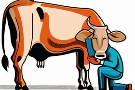 소, 도구 사용: 동물의 지능에 대한 재고