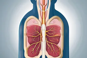 2型糖尿病:血管への静かなる損傷が明らかに