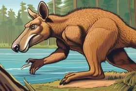 Ice Age Giants: Did Kangaroos This Big Really Hop?