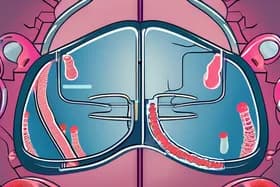 Chemo's Hidden Ally: Gut Bacteria Fight Cancer Spread