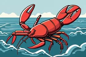 龙虾传奇落幕,预期寿命跃升,采矿阴影逼近