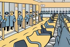 Venda de Filhotes Termina em Tragédia; Nevasca Ameaça o Sudeste