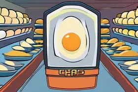 Chaos Brews: Eggs, Ozempic, Noem, and a Looming Shutdown