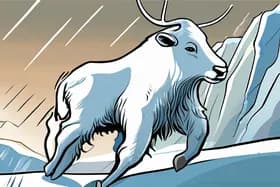 북극 한파로 수십 명 사망, 남부 지역 위협, 갓 태어난 송아지 동사