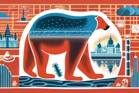 Merveilles du monde : Mumbai respire, des bactéries se développent et les ours polaires intriguent