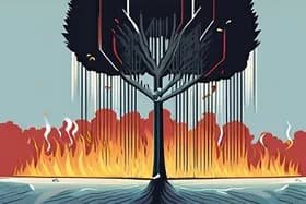 Crise climatique : Arbres contre plastique, manifestations contre l'ICE et un incendie mortel