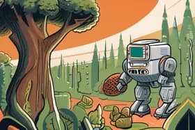 Лесные пожары бушуют, роботы варят, а «Никс» покоряют «Мэдисон-сквер-гарден»