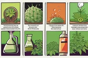 Hemp Chaos, Killer Fungus, & Cancer Risks Explode!