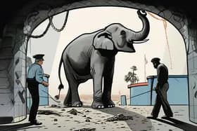 코끼리 관광객 살해, 왕자 체포, 인질 탈출, 국경 개방