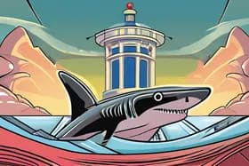 サメ急騰、Echo急落、そしてスパイシーな読書が2月を熱くする!