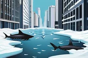 상어 번성, 양자 도약, 그리고 겨울의 여파로 도시들 "ICE 아웃"