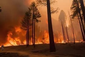 ラテンアメリカが右傾化する中、山火事が猛威を振るう;FIFA会長が謝罪