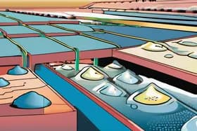 Cleantech Metals: Microbios, reservas y ¿un respiro de China?