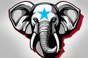 Medal of Honor Approved, Baby Elephant Born, Trump Stirs Chaos