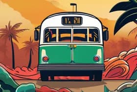 全球危机:飓风致死、巴西巴士车祸以及政治动荡爆发