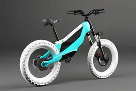 突发:Rad Power Bikes 以令人震惊的 1320 万美元低价售出