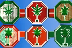 突发:大麻/医用大麻法律冲突:同种植物,不同法律!