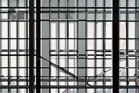 突发:移民及海关执法局突袭行动在明尼苏达州引发难民心理创伤!